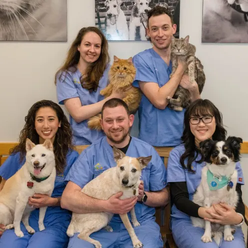Group photo of veterinarians with their pets.